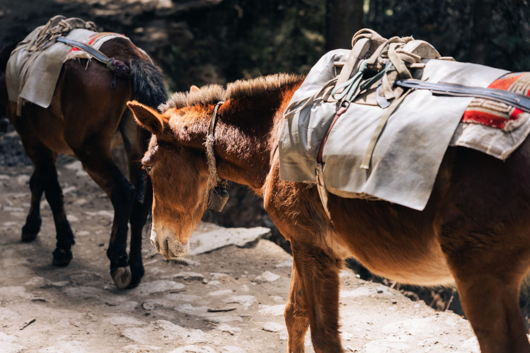 Photograph from a HUX EXPED photography expedition in the Nepal Himalaya